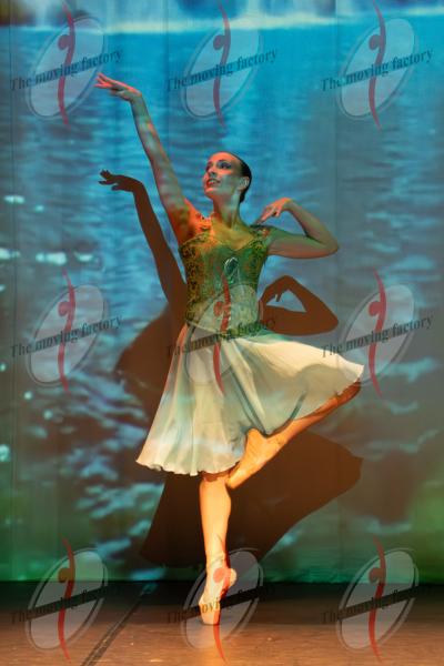 SHOW_02012.jpg